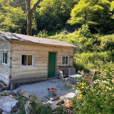 Foxglove Eco Lodge Llanelli Exteriör bild