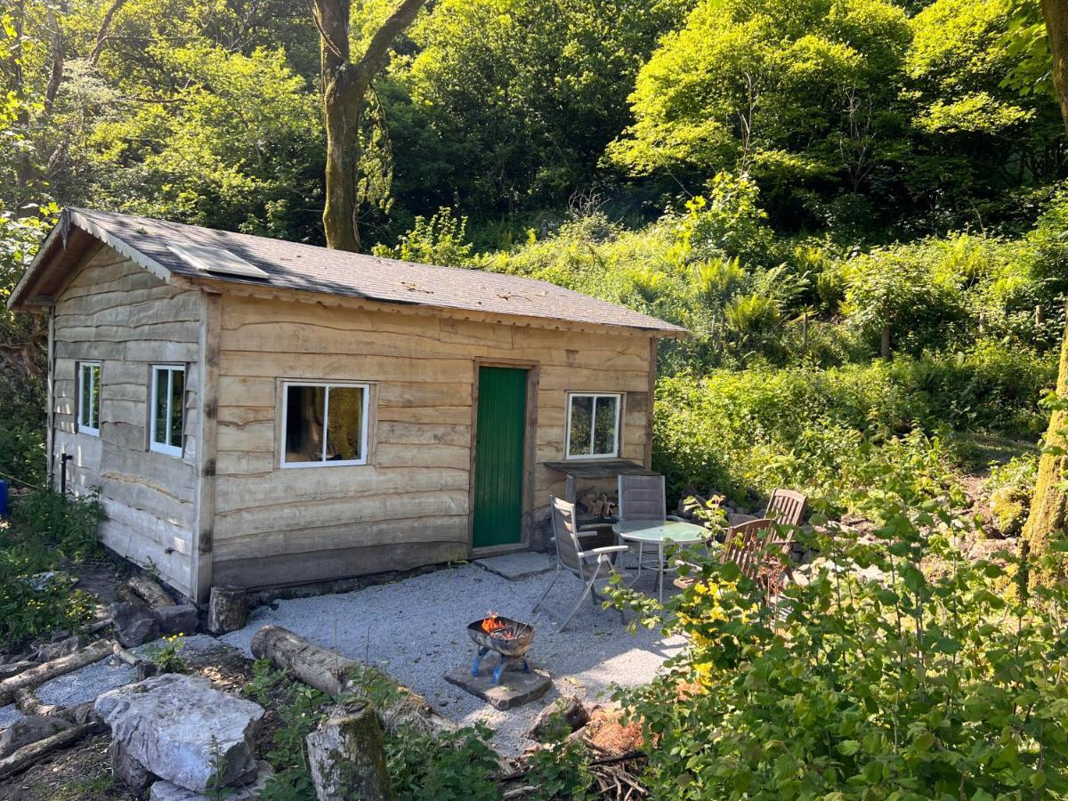 Foxglove Eco Lodge Llanelli Exteriör bild